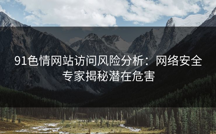 91色情网站访问风险分析：网络安全专家揭秘潜在危害