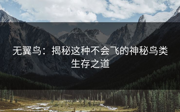 无翼鸟：揭秘这种不会飞的神秘鸟类生存之道
