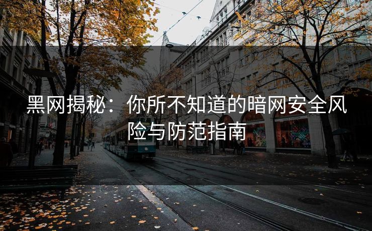 黑网揭秘：你所不知道的暗网安全风险与防范指南