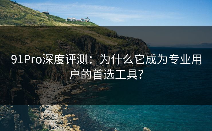 91Pro深度评测：为什么它成为专业用户的首选工具？