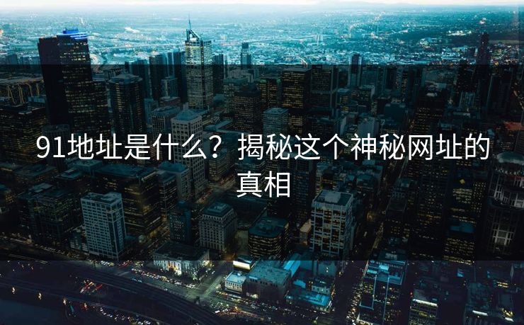 91地址是什么？揭秘这个神秘网址的真相